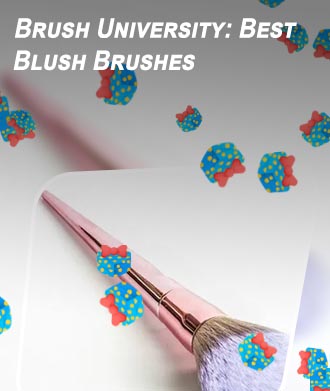 Best blush brush